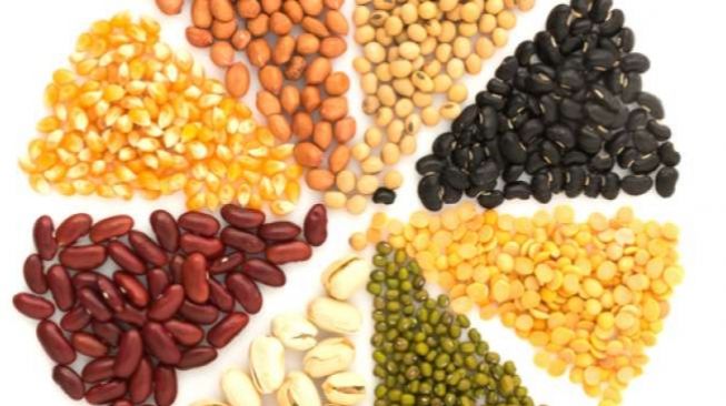 Perbedaan Kacang Hijau Dan Kacang Almond Beserta Fungsinya Masing-Masing